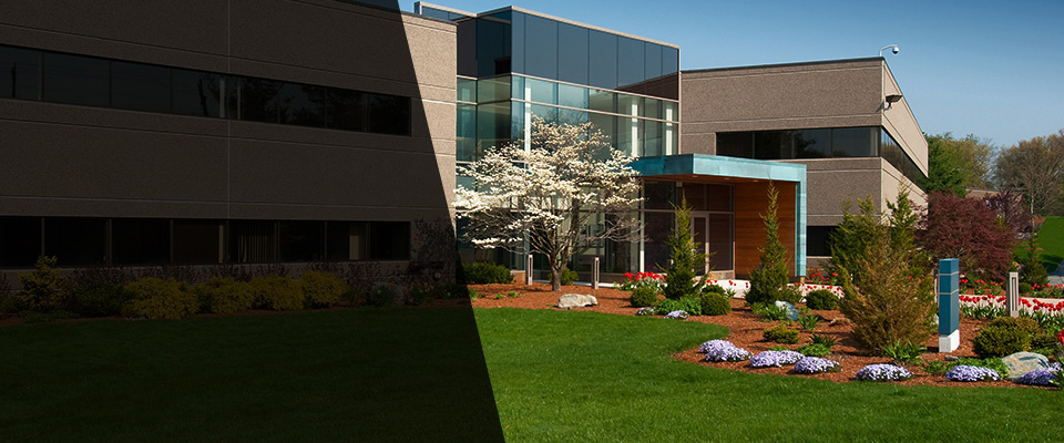 Thonotosassa Landscapers