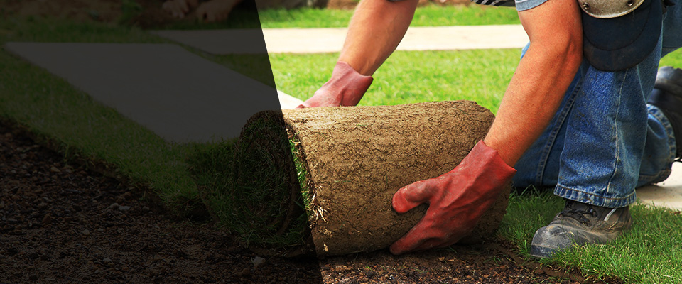 Thonotosassa Landscapers